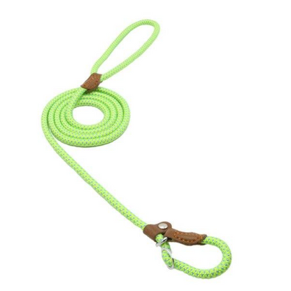 Set de Correa y Collar Nylon Pup