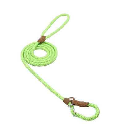 Set de Correa y Collar Nylon Pup