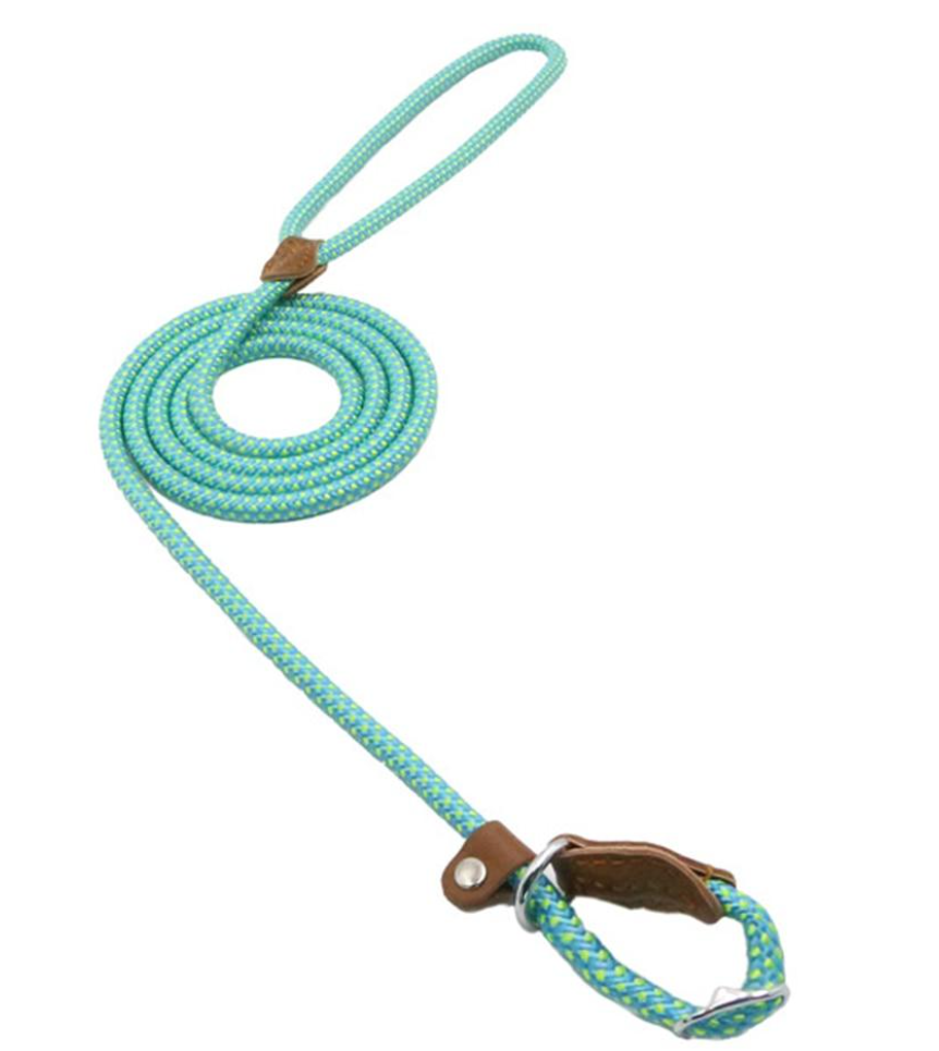 Set de Correa y Collar Nylon Pup
