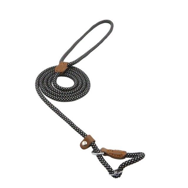 Set de Correa y Collar Nylon Pup
