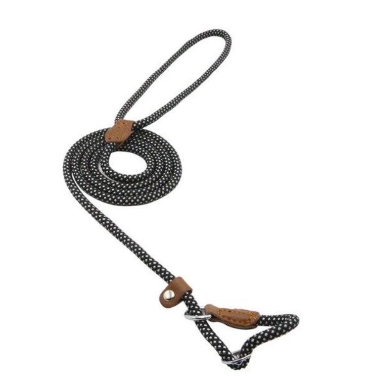 Set de Correa y Collar Nylon Pup