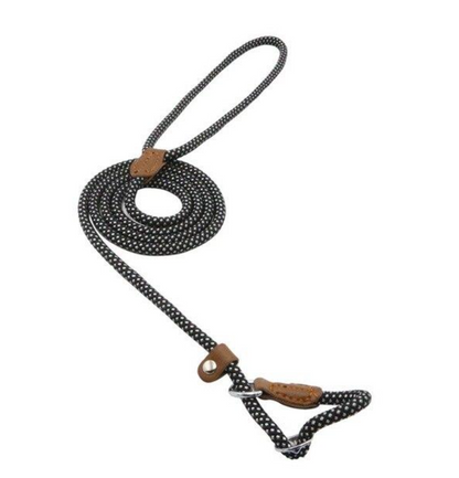 Set de Correa y Collar Nylon Pup