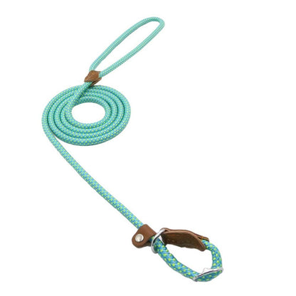Set de Correa y Collar Nylon Pup