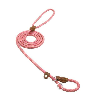 Set de Correa y Collar Nylon Pup