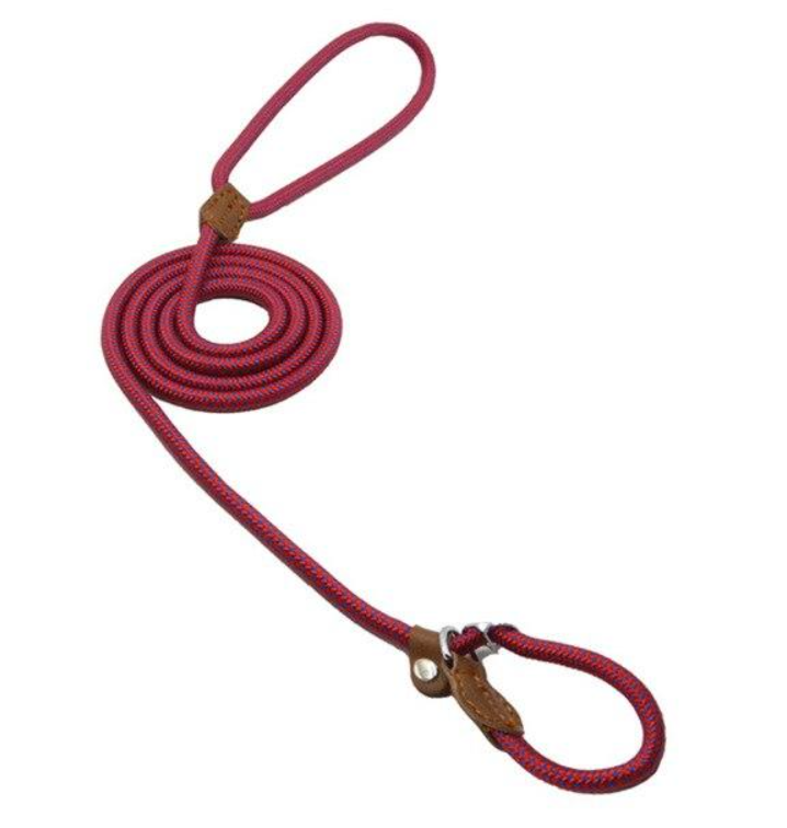 Set de Correa y Collar Nylon Pup