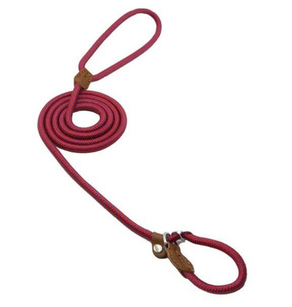 Set de Correa y Collar Nylon Pup