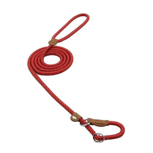 Set de Correa y Collar Nylon Pup