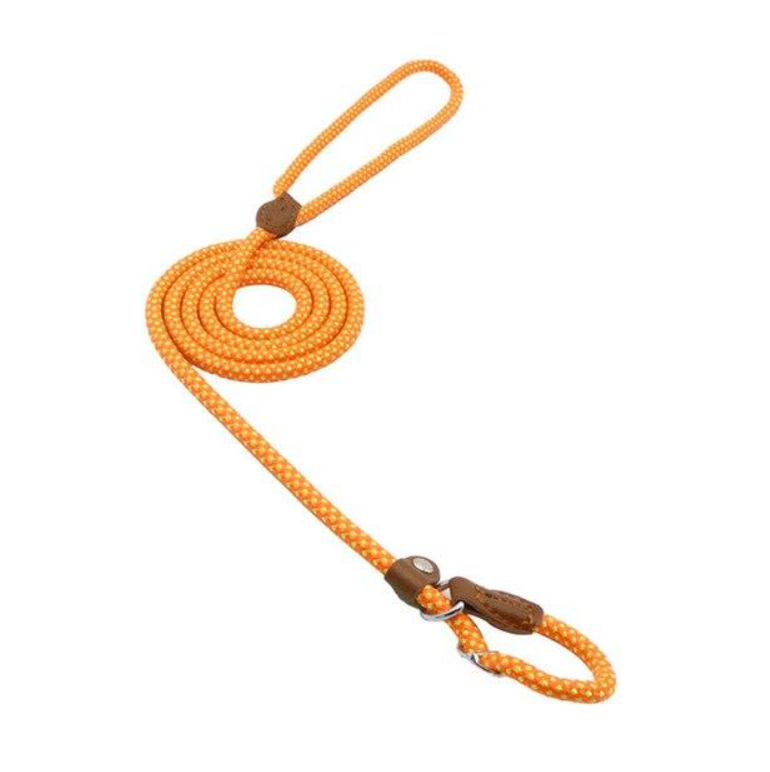 Set de Correa y Collar Nylon Pup