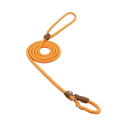 Set de Correa y Collar Nylon Pup