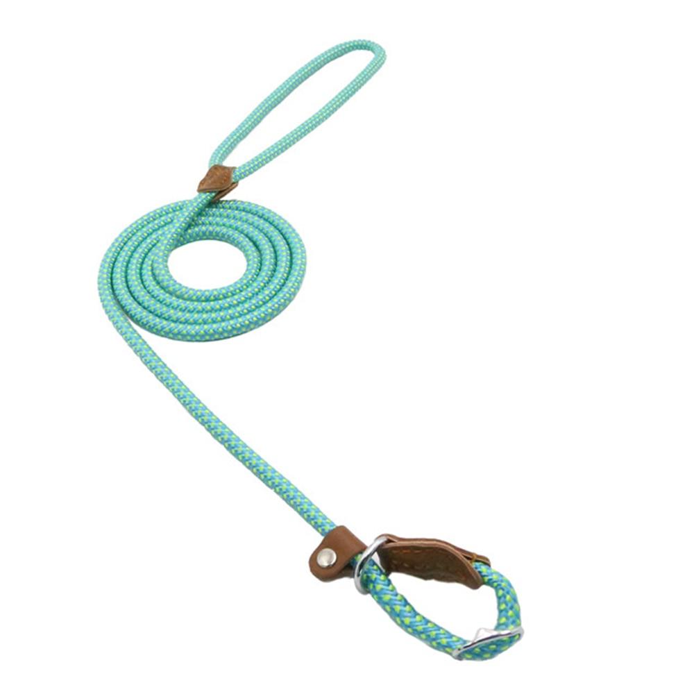Set de Correa y Collar Nylon Pup