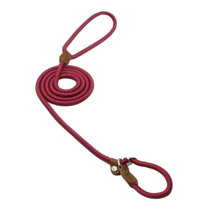 Set de Correa y Collar Nylon Pup